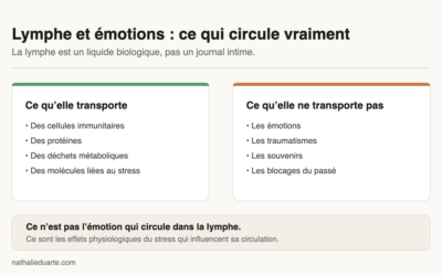 La lymphe transporte-t-elle les émotions ? La réponse est non
