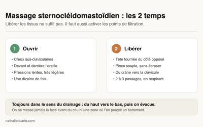 Massage sternocléidomastoïdien : le muscle qui gonfle votre visage