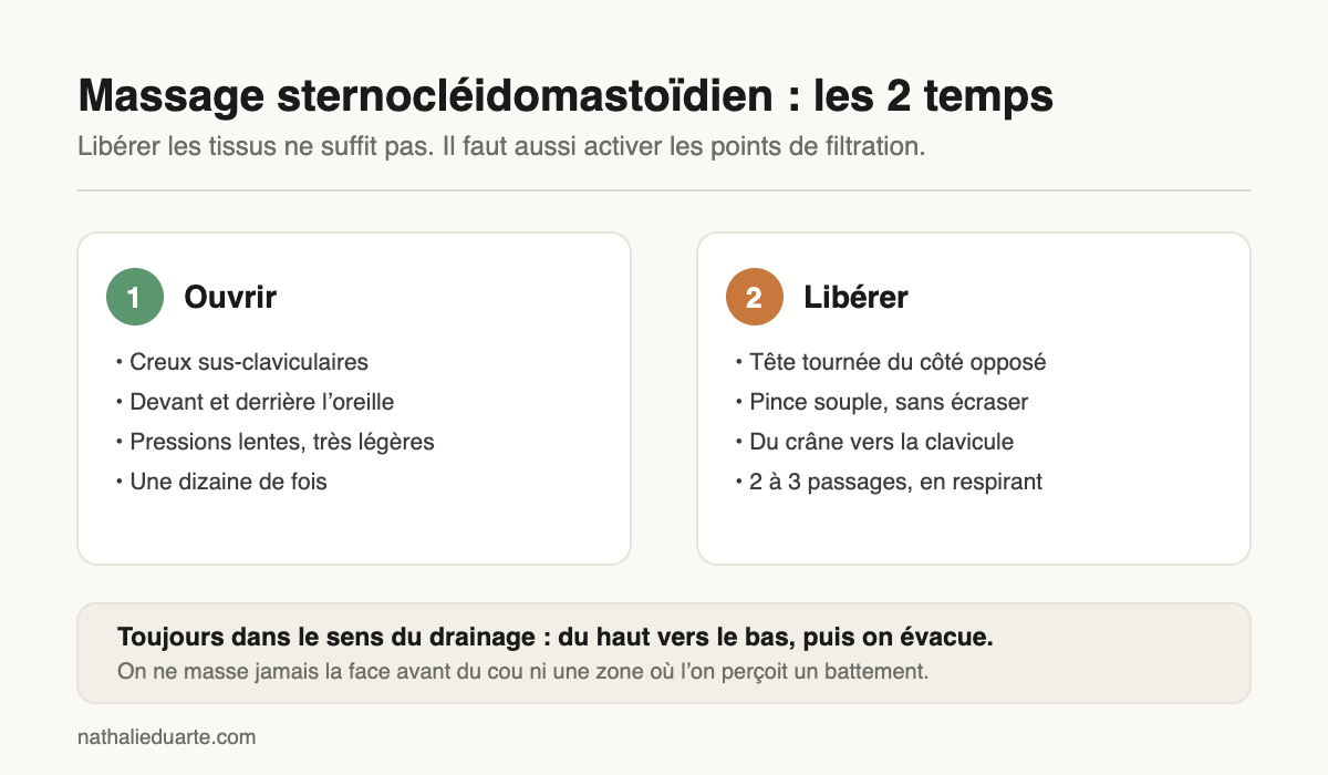 Massage sternocléidomastoïdien : les 2 temps du geste de drainage