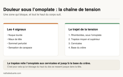 Douleur sous l’omoplate : ce que vos trapèzes essaient de vous dire