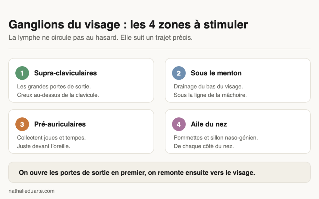 Ganglions du visage : les 4 zones à stimuler au bon endroit