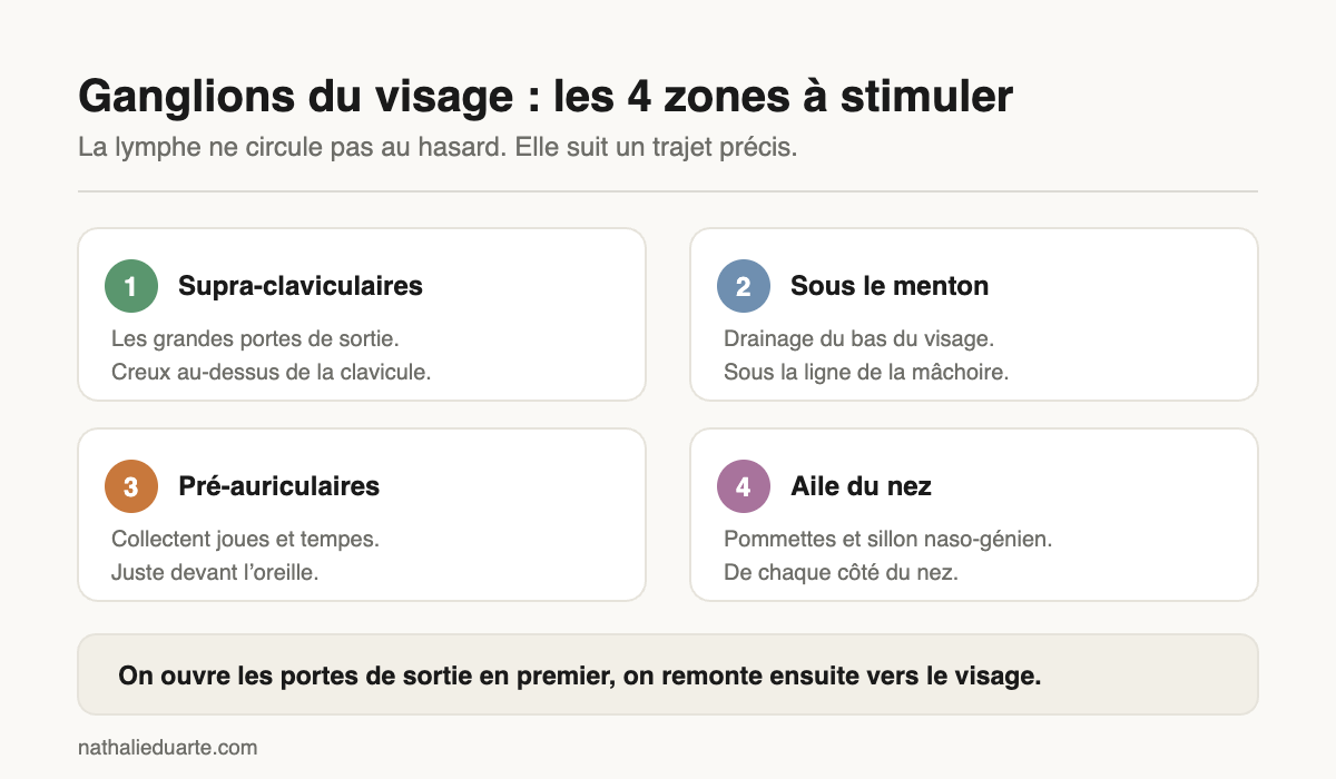 Ganglions du visage : les 4 zones à stimuler et leur ordre